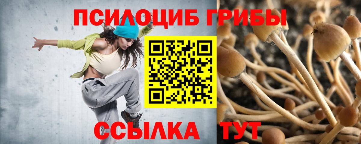 Ессентуки  Галлюциногенные грибы ЛСД  Галлюциногенные грибы GOLDEN TEACHER  Вход с VPN 
